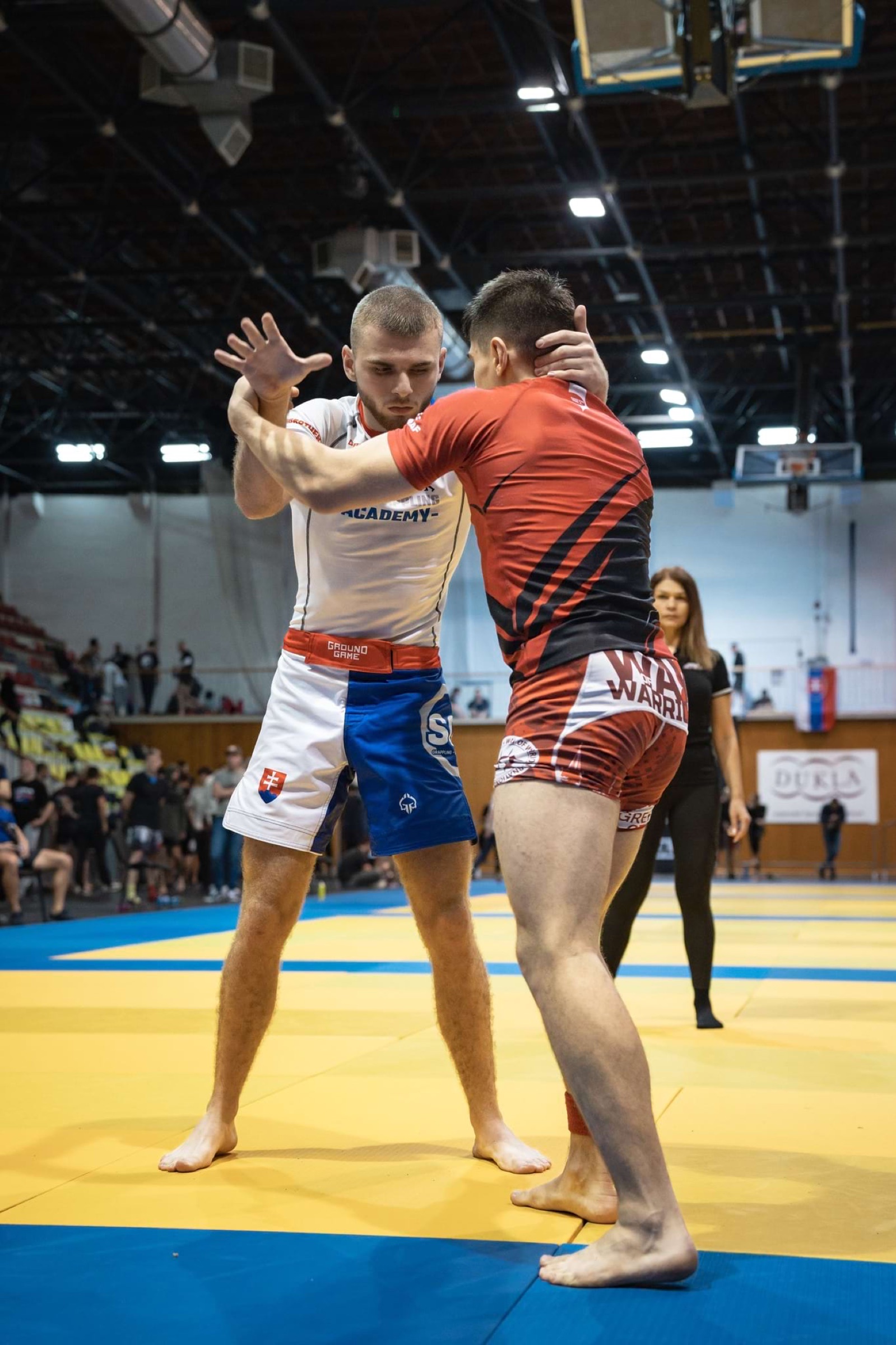 Majstrovstvá Slovenska v MMA